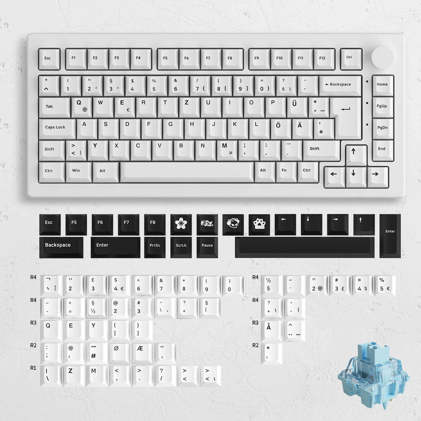 Akko 5075B Plus ANSI/ISO 75% Teclado mecânico para jogos 3/5 pinos Hot Swap três modos RGB 2,4 GHz sem fios/USB tipo C/BT 5.0