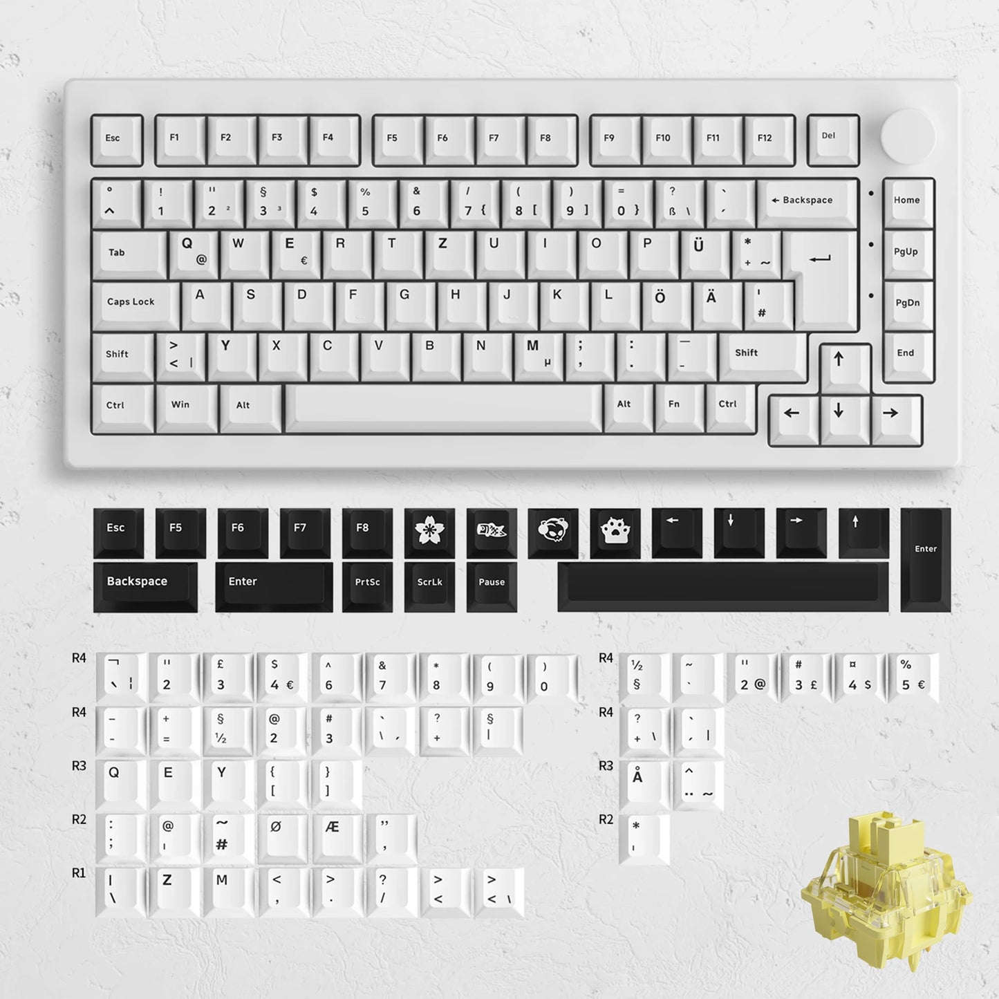 Akko 5075B Plus ANSI/ISO 75% Teclado mecânico para jogos 3/5 pinos Hot Swap três modos RGB 2,4 GHz sem fios/USB tipo C/BT 5.0