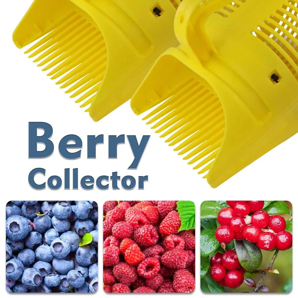 Apanhador colhedor de mirtilos e frutos vermelhos