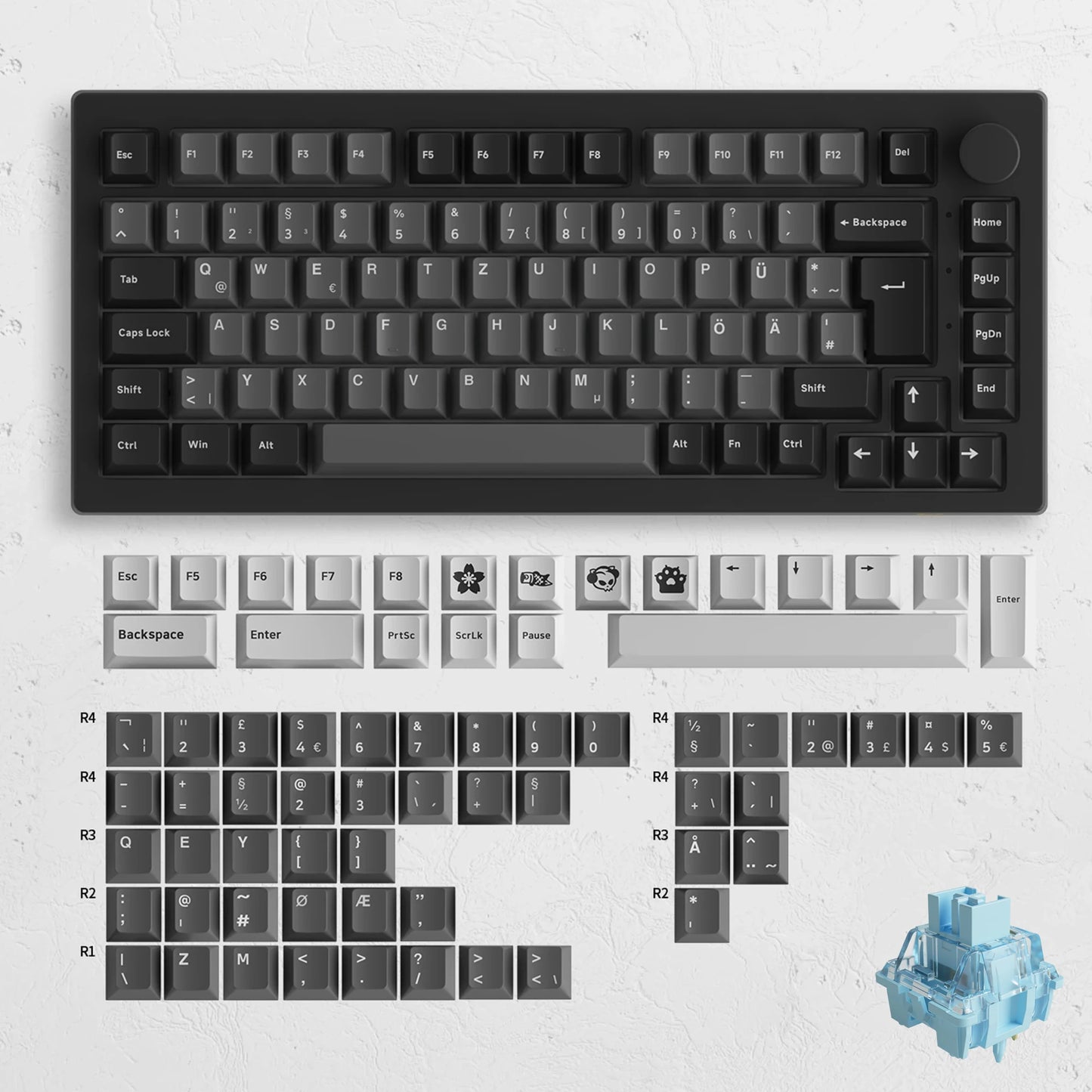 Akko 5075B Plus ANSI/ISO 75% Teclado mecânico para jogos 3/5 pinos Hot Swap três modos RGB 2,4 GHz sem fios/USB tipo C/BT 5.0